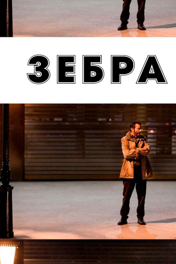 Зебра — обложка