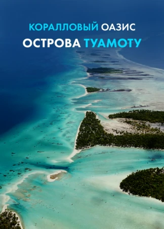 Коралловый оазис острова Туамоту