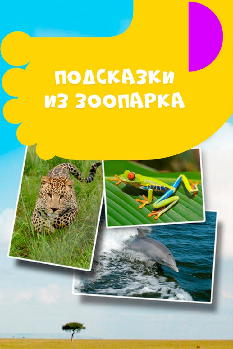 Подсказки из зоопарка — обложка