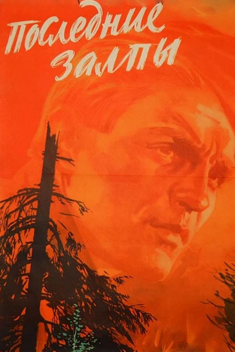 Последние залпы — обложка