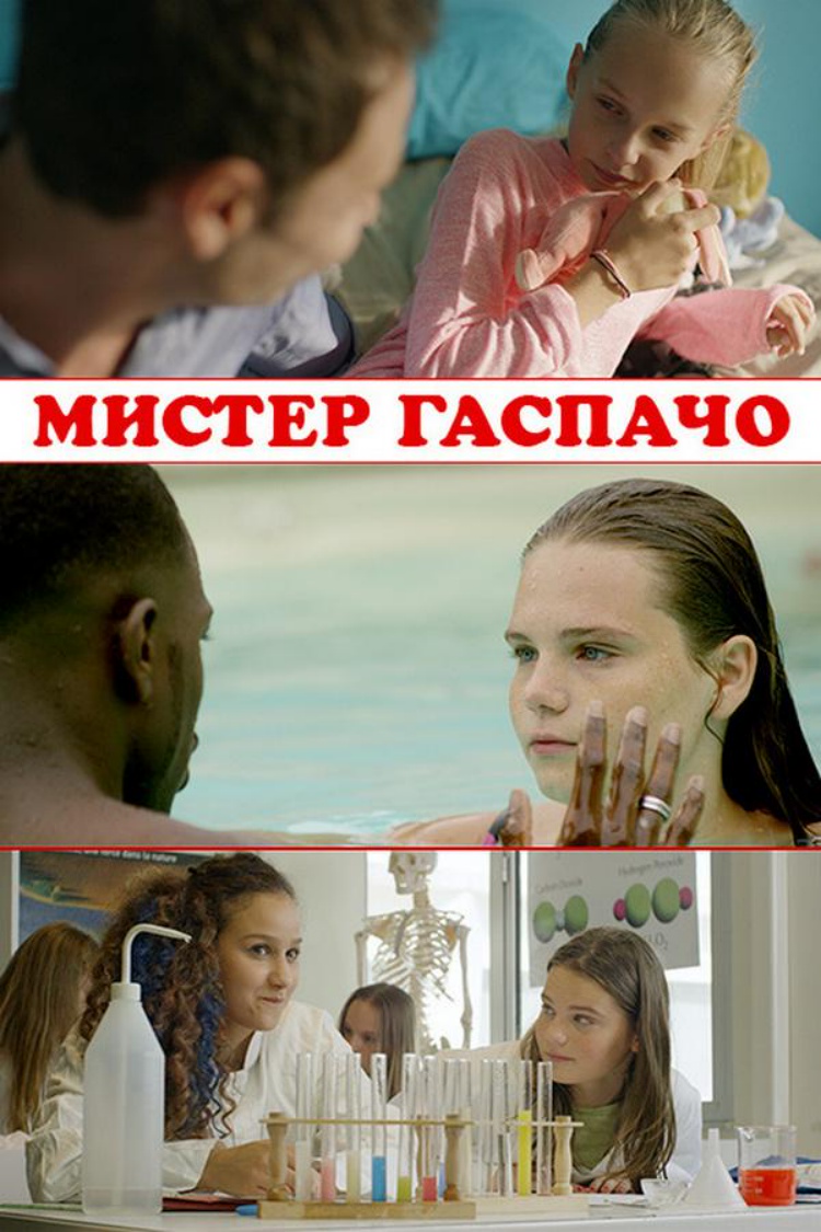 Мистер Гаспачо — обложка