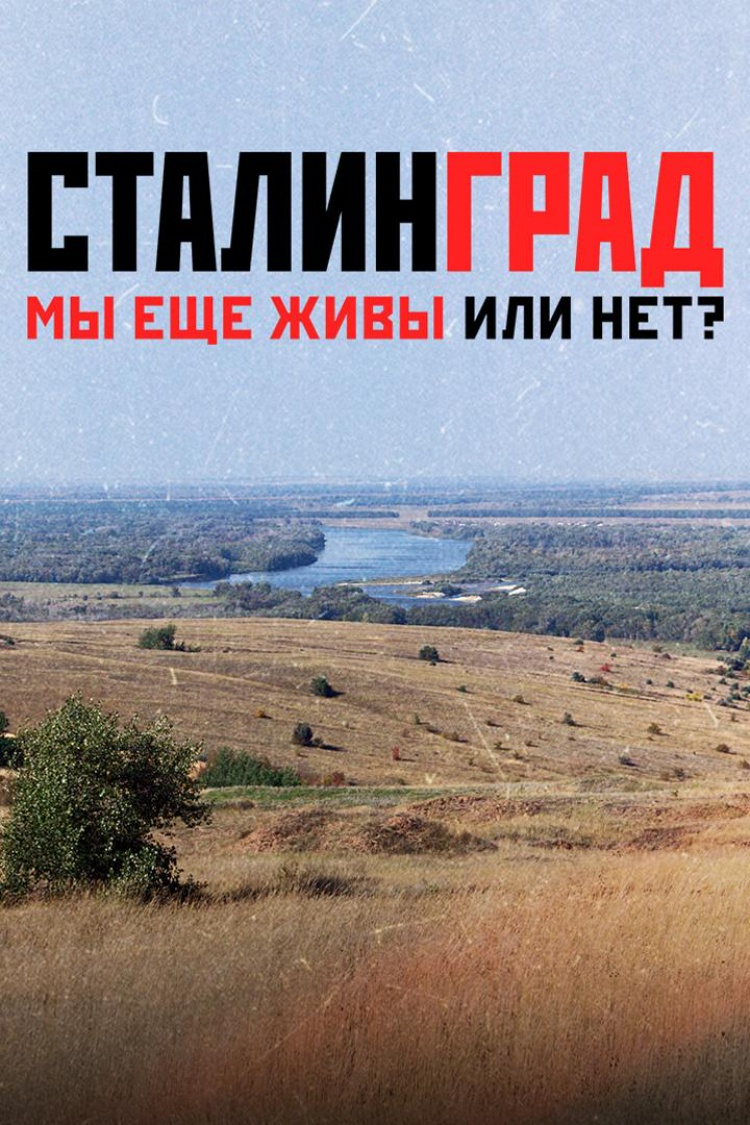 Сталинград. Мы еще живы или нет? — обложка