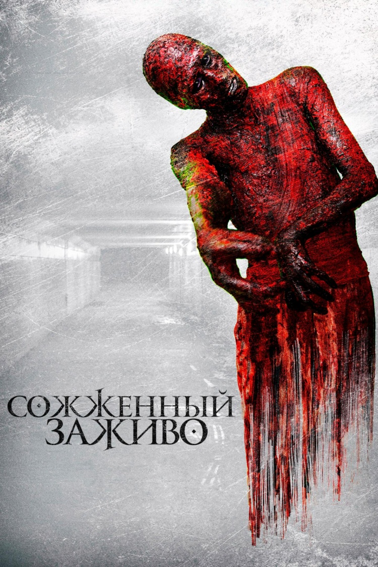 Сожжённый заживо — обложка
