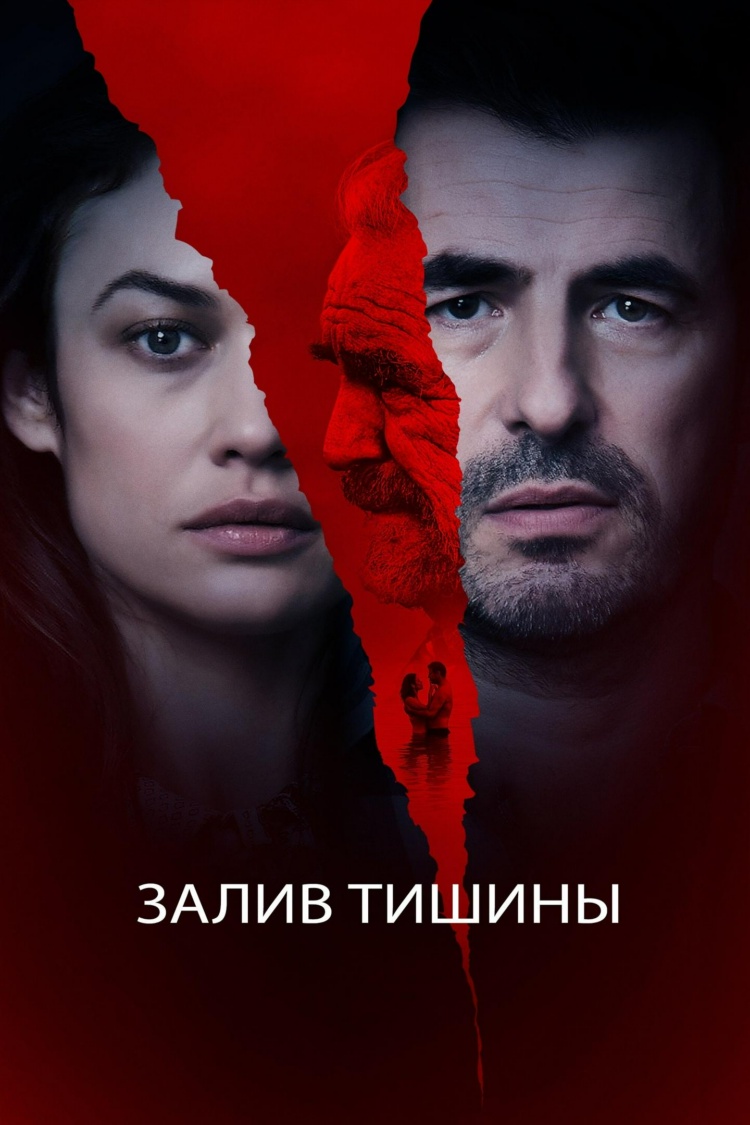 Залив тишины — обложка