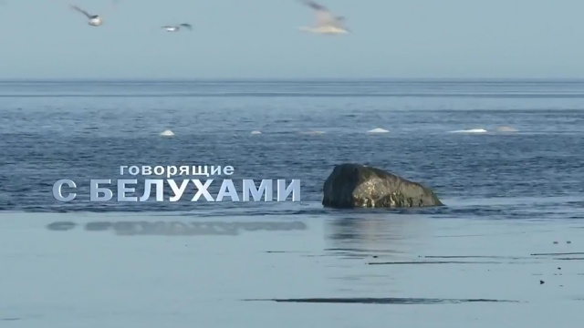 Океан HD - программа, онлайн эфир ТВ канала. Океан HD прямой эфир ...
