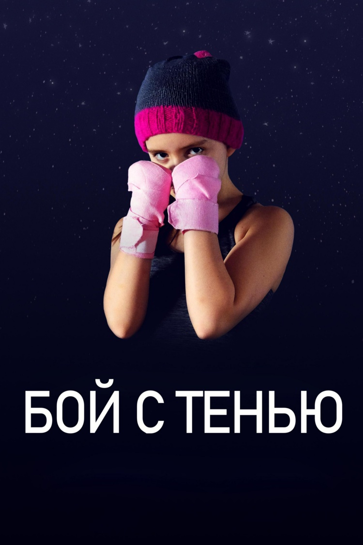 Бой с тенью — обложка
