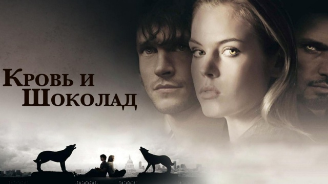 FAN HD - программа, онлайн эфир ТВ канала. FAN HD прямой эфир ...